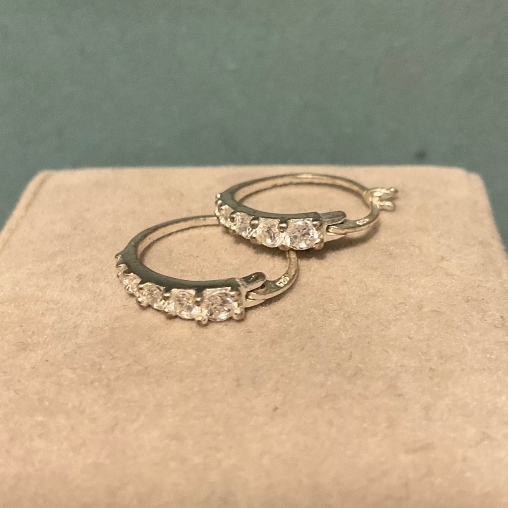 Elegant Silver Hoop Earrings